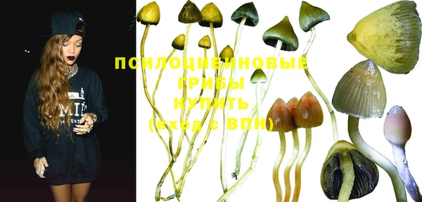 PSILOCYBIN Волоколамск