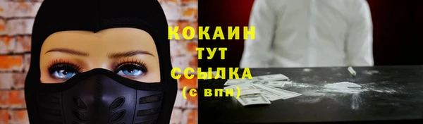 apvp Горно-Алтайск