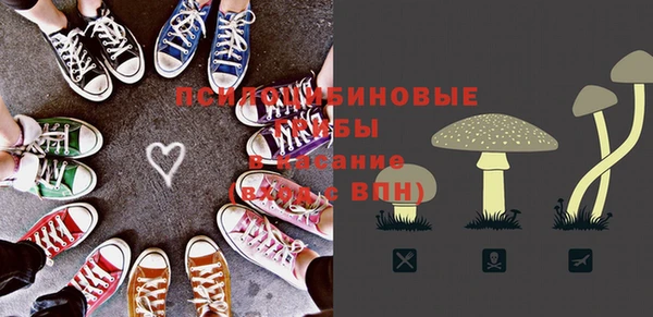 mix Горняк