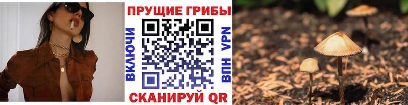 Псилоцибиновые грибы мицелий  Дюртюли 